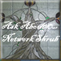 networkshrub logo